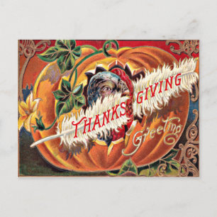 Turkey Feather Pumpkin Flowers Postcard