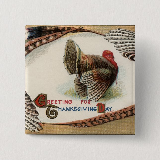 Turkey Feathers Pinback Button (Front)