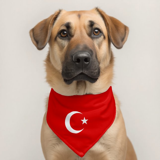 Turkey flag pet bandana collar (Dog 2)