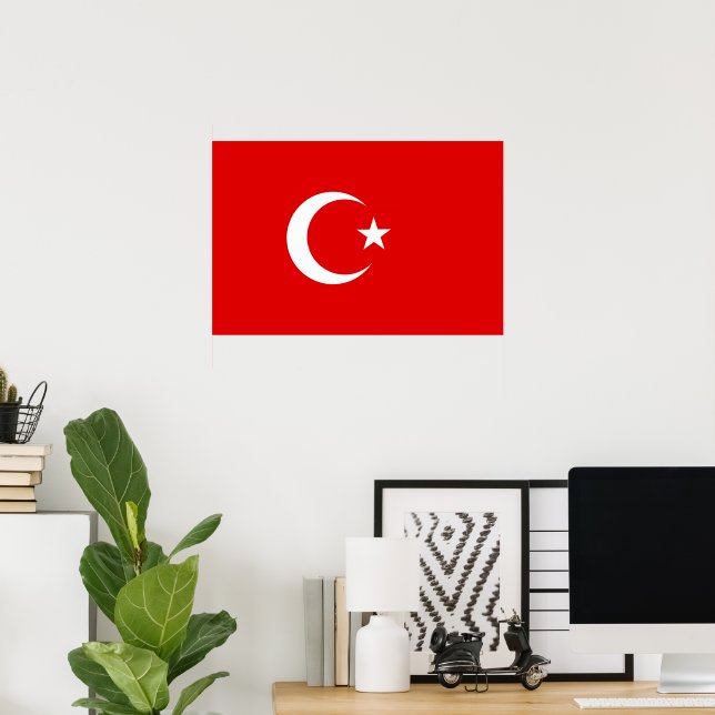 Turkey flag poster (Home Office)
