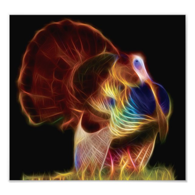 Turkey Fractal Photo Print (Front)