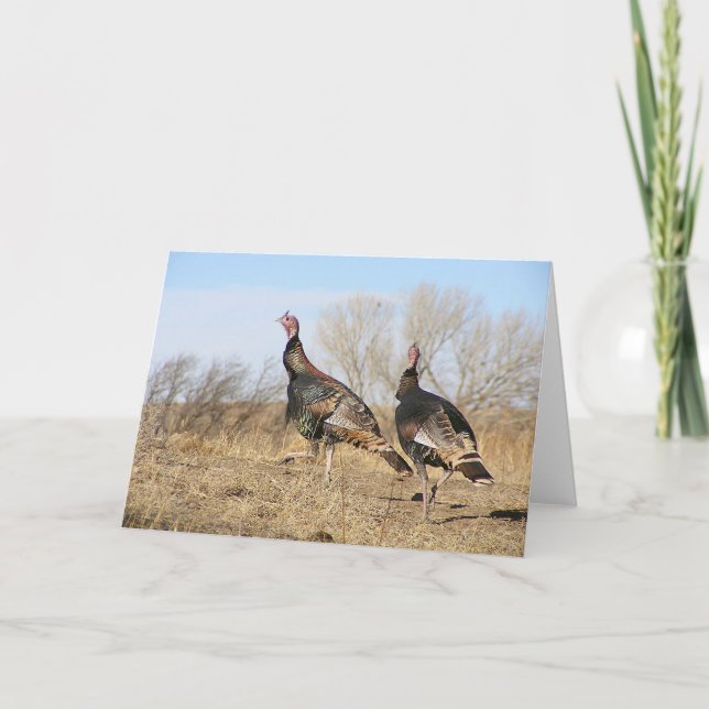 Turkey Horizon Card (Front)