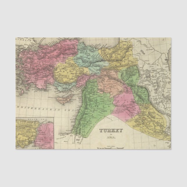 Turkey In Asia 2 Tissue Paper (Front)