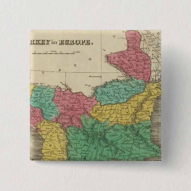 Turkey in Europe Button (Front)