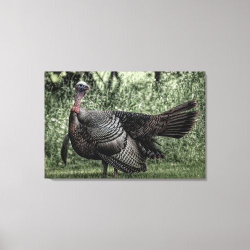 Turkey In the Woods_ Sage Green BW Poster Canvas Print