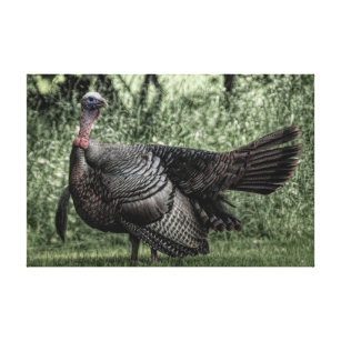 Turkey In the Woods- Sage Green B&W Poster Canvas Print