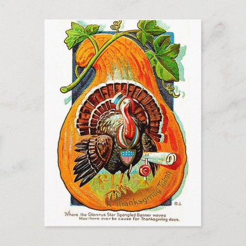 Turkey inside orange pumpkin vintage thanksgiving postcard