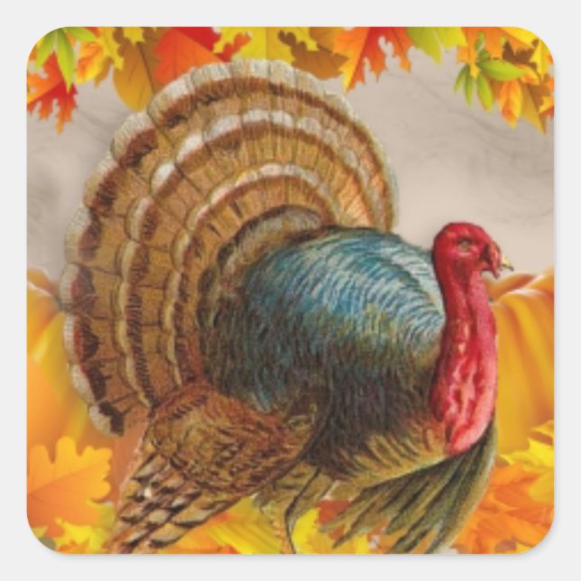 Turkey leaves pumpkins square sticker (Front)