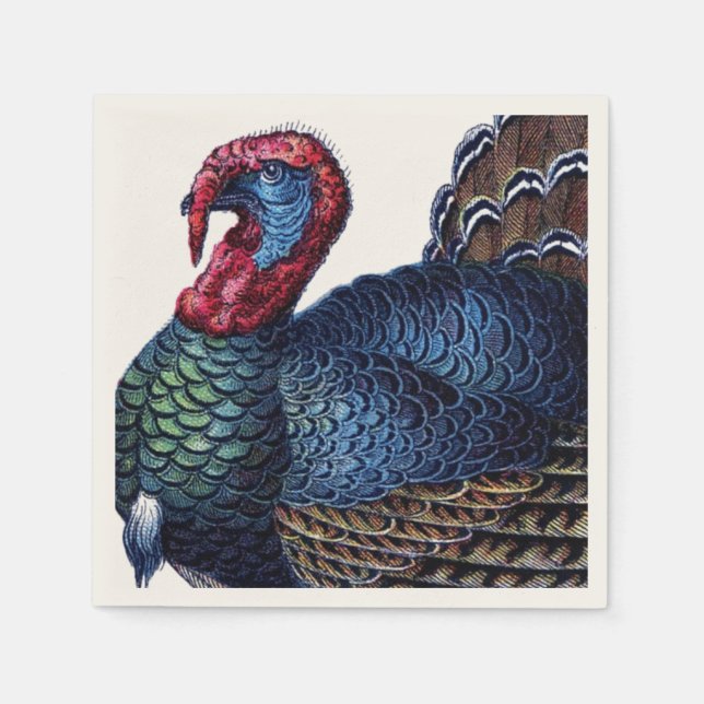 Turkey Napkins (Front)