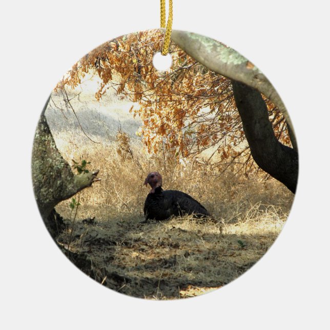 Turkey Paradise Ornament (Front)