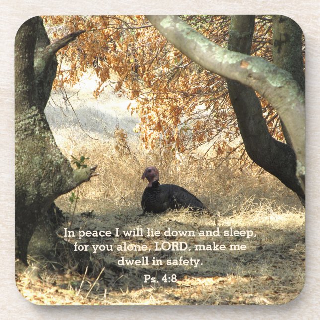 Turkey Paradise Psalm Coasters (Front)