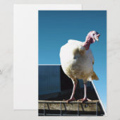 Turkey Popout Art, (Front/Back)