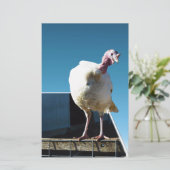Turkey Popout Art, (Standing Front)