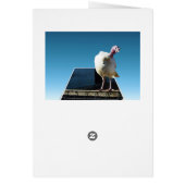 Turkey Popout Art, (Back)