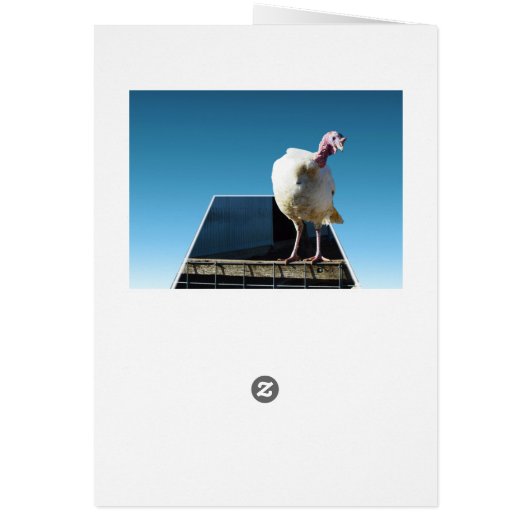 Turkey Popout Art, (Back)