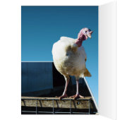Turkey Popout Art, Cards (Inside (Left))