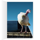 Turkey Popout Art, Cards (Inside (Right))
