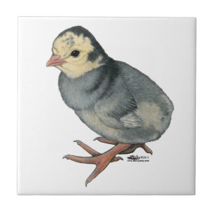 Turkey Poult Blue Slate Ceramic Tile