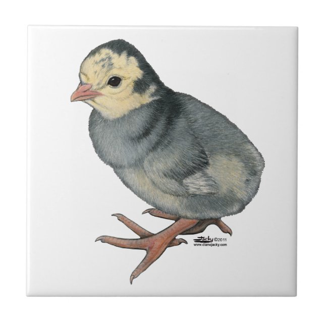 Turkey Poult Blue Slate Ceramic Tile (Front)