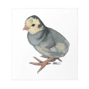 Turkey Poult Blue Slate Notepad