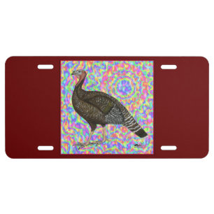 Turkey Rainbow License Plate