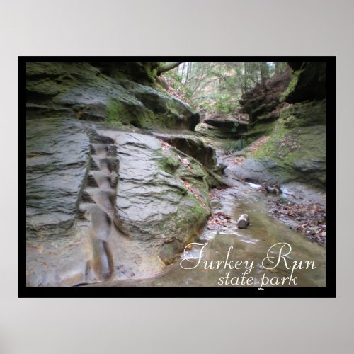 Turkey Run State Park Eroded Stairs Poster