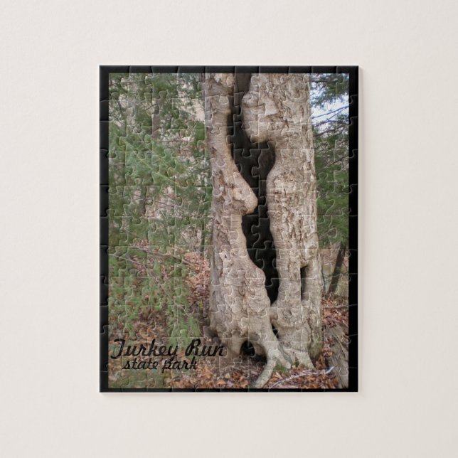 Turkey Run State Park, Hallow Tree Jigsaw Puzzle (Vertical)