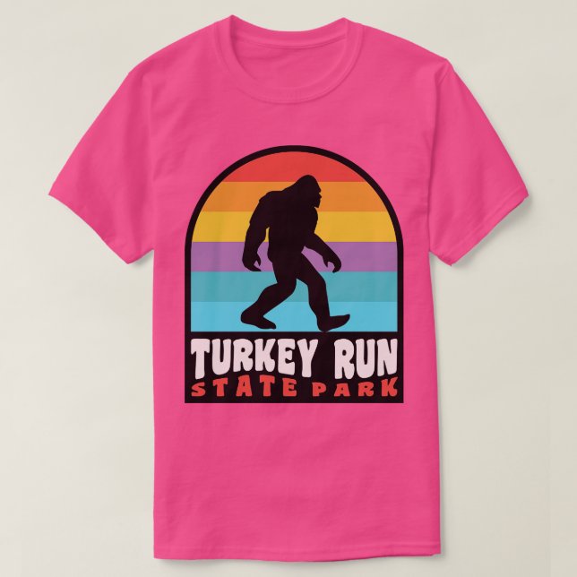 Turkey Run State Park Retro Sunset T-Shirt (Design Front)