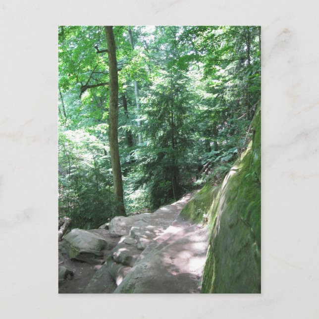 Turkey Run Trail Postcard (Front)