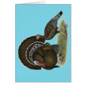 Turkey Standard Bronze (Front)