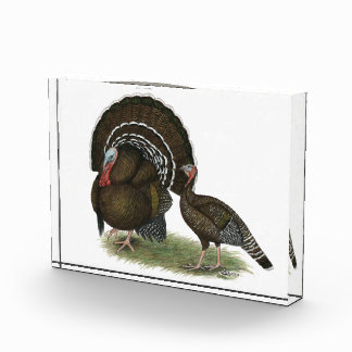 Turkey Standard Bronze Acrylic Award