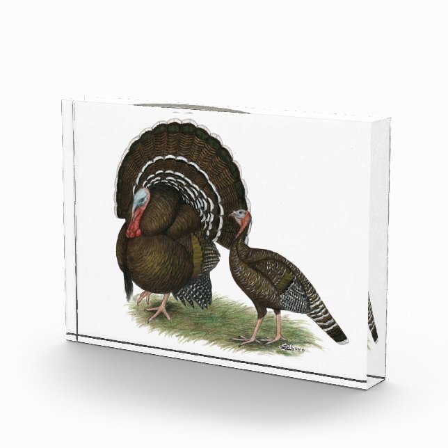 Turkey Standard Bronze Acrylic Award (Right)