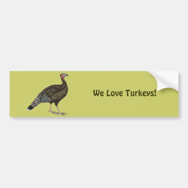 Turkey:  Standard Bronze Hen Bumper Sticker (Front)