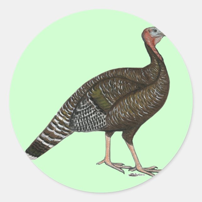 Turkey:  Standard Bronze Hen Classic Round Sticker (Front)