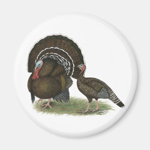 Turkey Standard Bronze Magnet