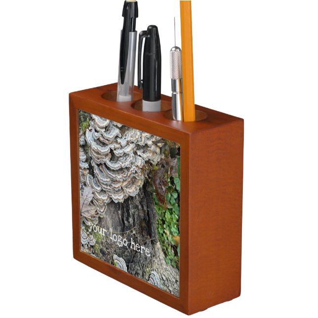 "Turkey Tail Mushrooms"  Desk Organizer (In Situ)