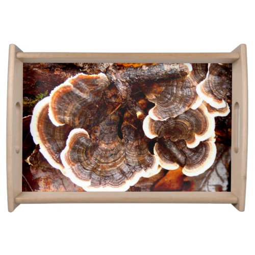 Turkey Tails Fungi Serving Tray