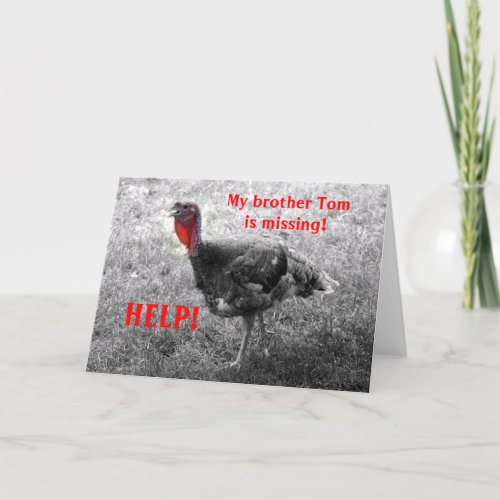 Turkey Thanksgiving Humor Holiday Card