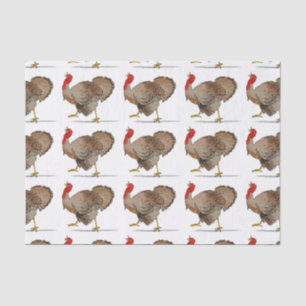 Turkey Tissue Paper