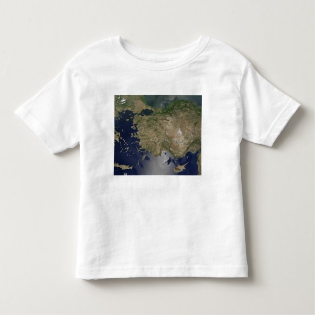 Turkey Toddler T-shirt (Front)