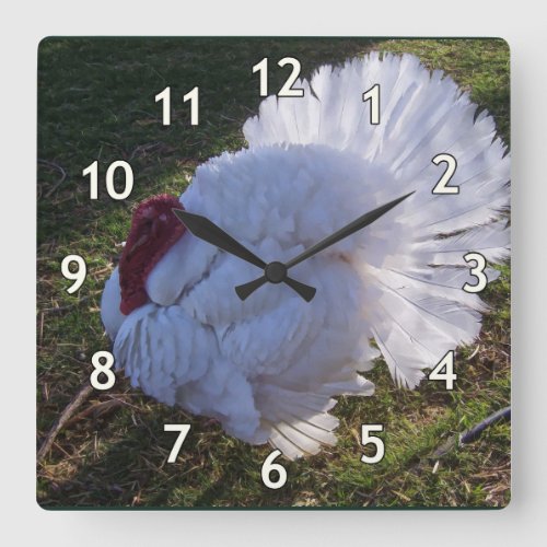 Turkey Tom Square Wall Clock