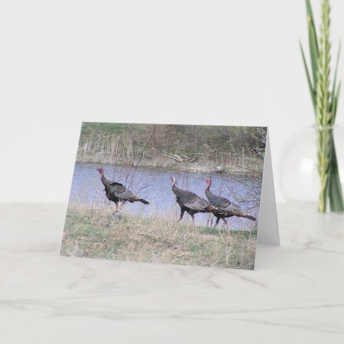 Turkey Trio By Water Holiday Card