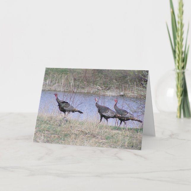 Turkey Trio By Water Holiday Card (Front)