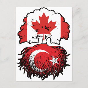 Turkey Turkish Canadian Canada Tree Roots Flag Postcard