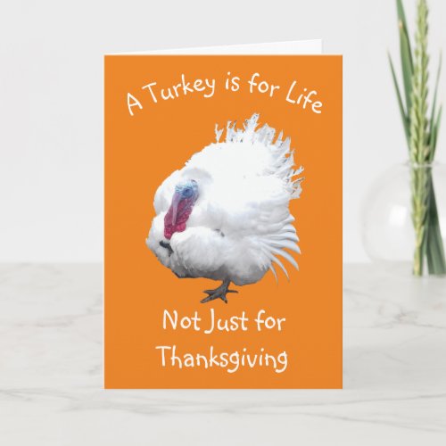 Turkey Vegan Thanksgiving Card