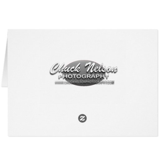 TURKEY VULTURE (Back Horizontal)