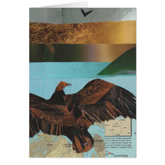 Turkey Vulture Cards (Front)