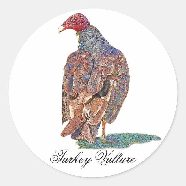 TURKEY VULTURE CLASSIC ROUND STICKER (Front)
