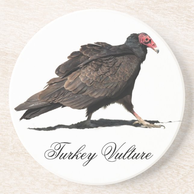 TURKEY VULTURE DRINK COASTER (Front)