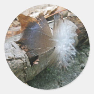 Turkey Vulture Feather Coordinating Items Classic Round Sticker